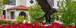 Photo of Bronze Red Hawk on Campus