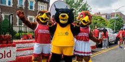 Deacon, Rocky and Roxy at the 4th of July parade.