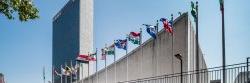 United Nations Flags