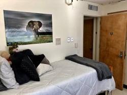 The other side of a Single Room in Blanton Hall with a student's bed.