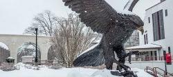 Red Hawk Statue covered in snow.