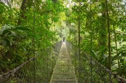 哥斯达黎加自然雨林公园的吊桥