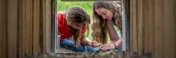 Students checking specimens caught crossing amphibian crossing below a local street